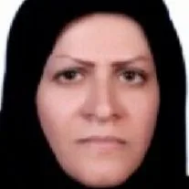 تصویر پروفایل مریم رئیسی هارونی - روانشناس کودکان استثنایی در اصفهان