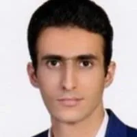 دکتر هادی فتاحی
