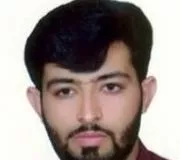 مصطفی هاتفی اردکانی