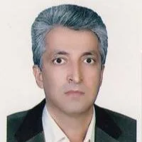 دکتر محمدرضا مرتضوی زاده
