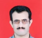 علیرضا شمس الدینی