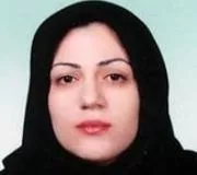 مرمر زائر