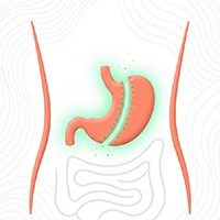 آیکون اسلیو معده - دکتر وی آی پی