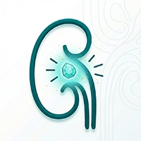آیکون سنگ کلیه - دکتر وی آی پی