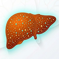 آیکون کبد چرب - دکتر وی آی پی