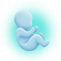 آیکون دکتر طب مادر و جنین - دکتر VIP