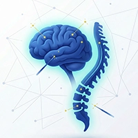 آیکون دکتر جراحی مغز و اعصاب - دکتر VIP